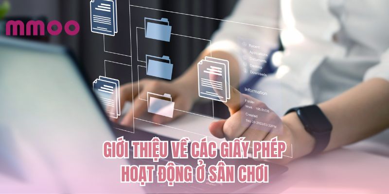 Giới thiệu về các giấy phép hoạt động ở sân chơi